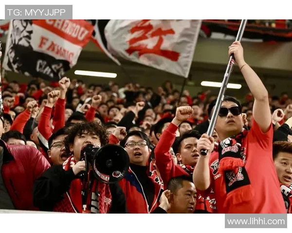 成都排球队实力引发热议球迷观点各异争论不断